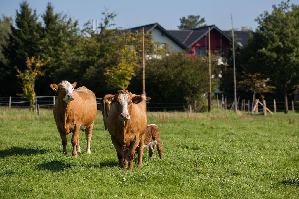 Landgasthof Gut Marienbildchen Roetgen Εξωτερικό φωτογραφία